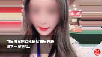 上位by萝卜兔子简介 网红黑料视频,by萝卜兔子背后的真相