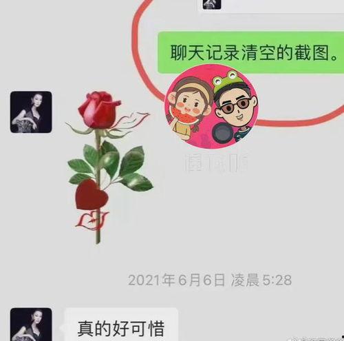 吃瓜炸裂聊天记录视频,揭秘视频背后的惊人真相