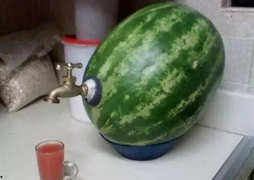 瓜哥带你吃瓜搞笑视频 怀仁网红大瓜最新消息,怀仁网红大瓜，最新消息笑料连连