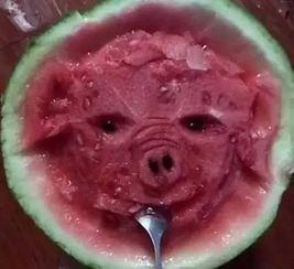 瓜哥带你吃瓜搞笑视频 怀仁网红大瓜最新消息,怀仁网红大瓜，最新消息笑料连连